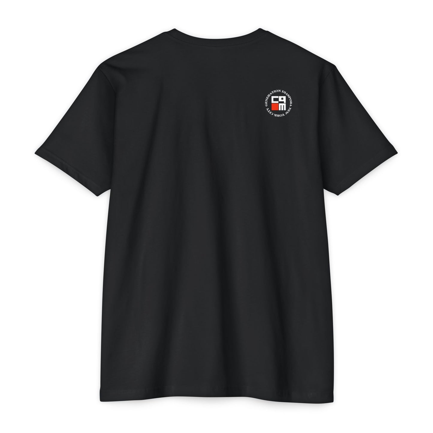 \ ˈzī-ə-nist \ CVC Jersey T-shirt