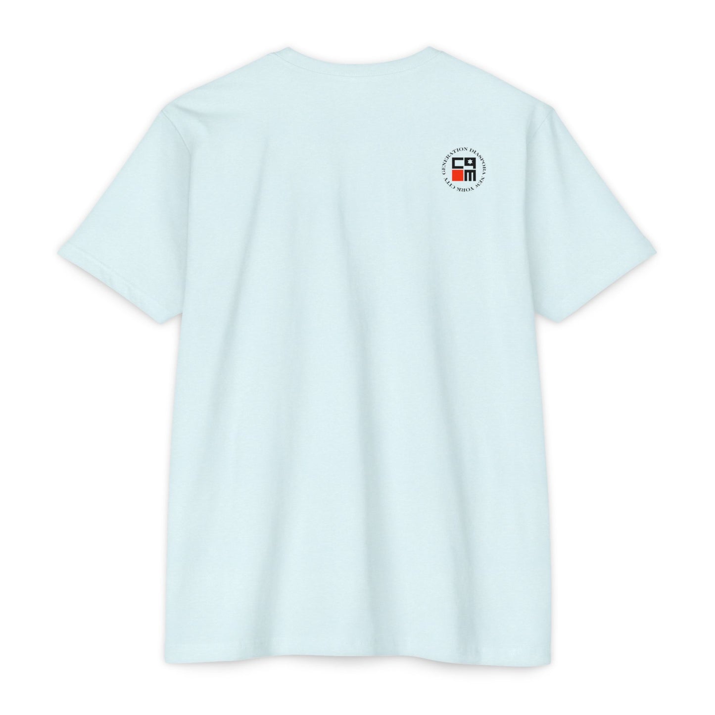 \ ˈzī-ə-nist \ CVC Jersey T-shirt