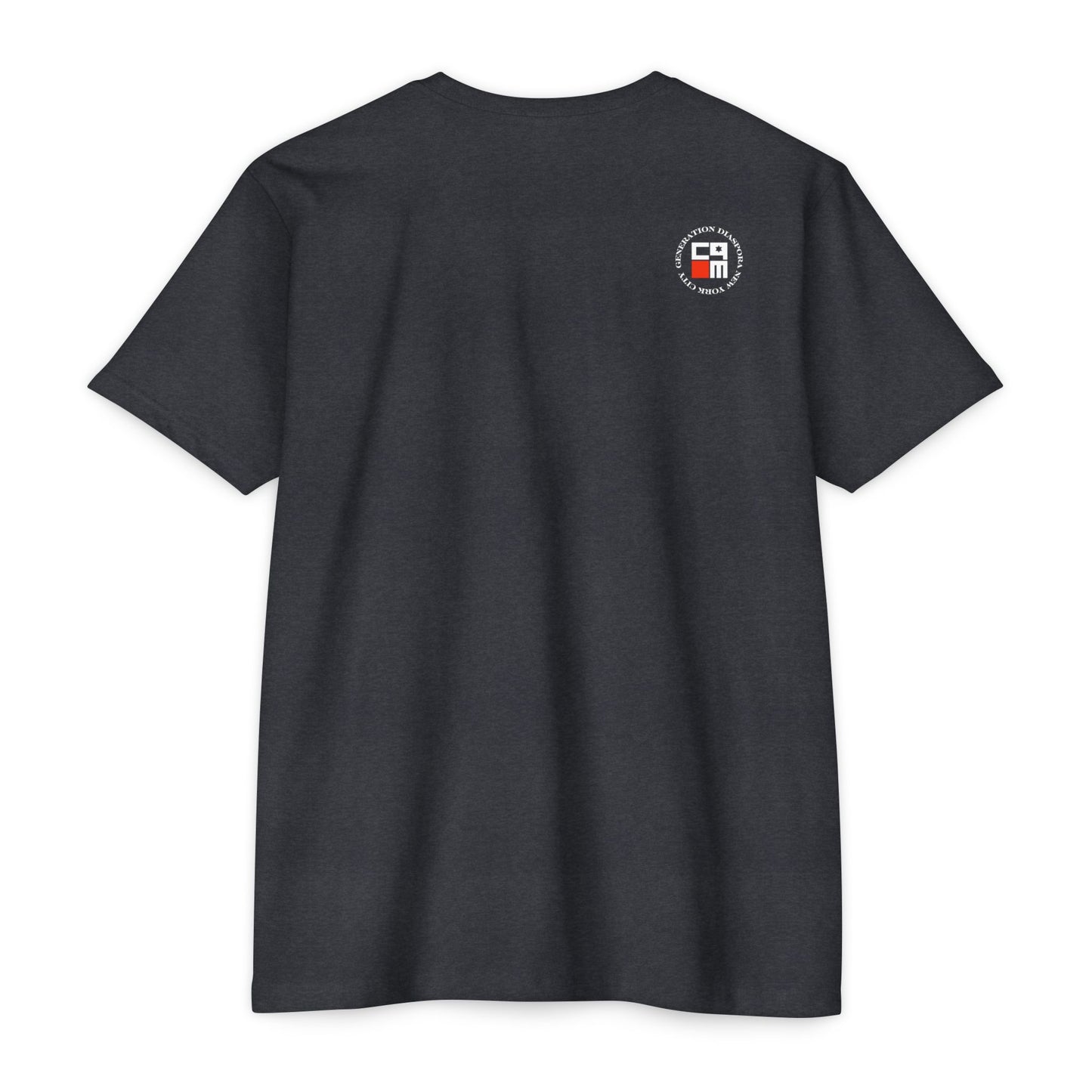 \ ˈzī-ə-nist \ CVC Jersey T-shirt
