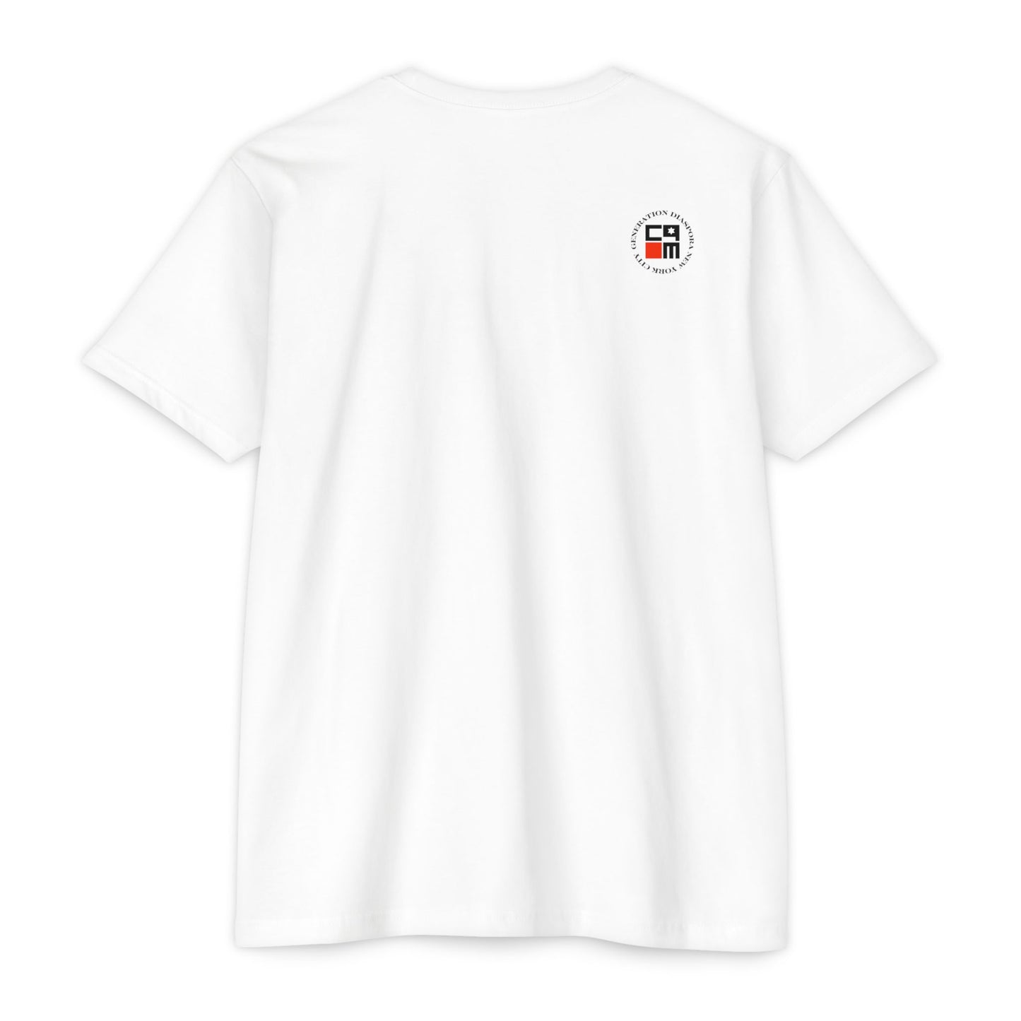 \ ˈzī-ə-nist \ CVC Jersey T-shirt