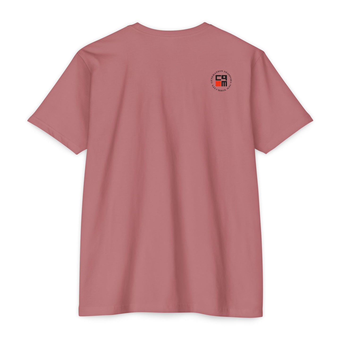 \ ˈzī-ə-nist \ CVC Jersey T-shirt