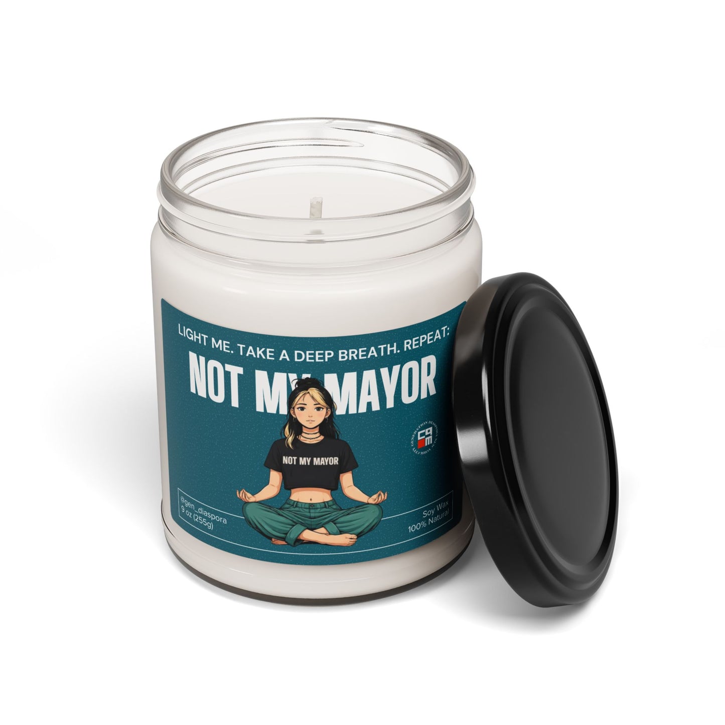 Not My Mayor Scented Soy Candle, 9oz