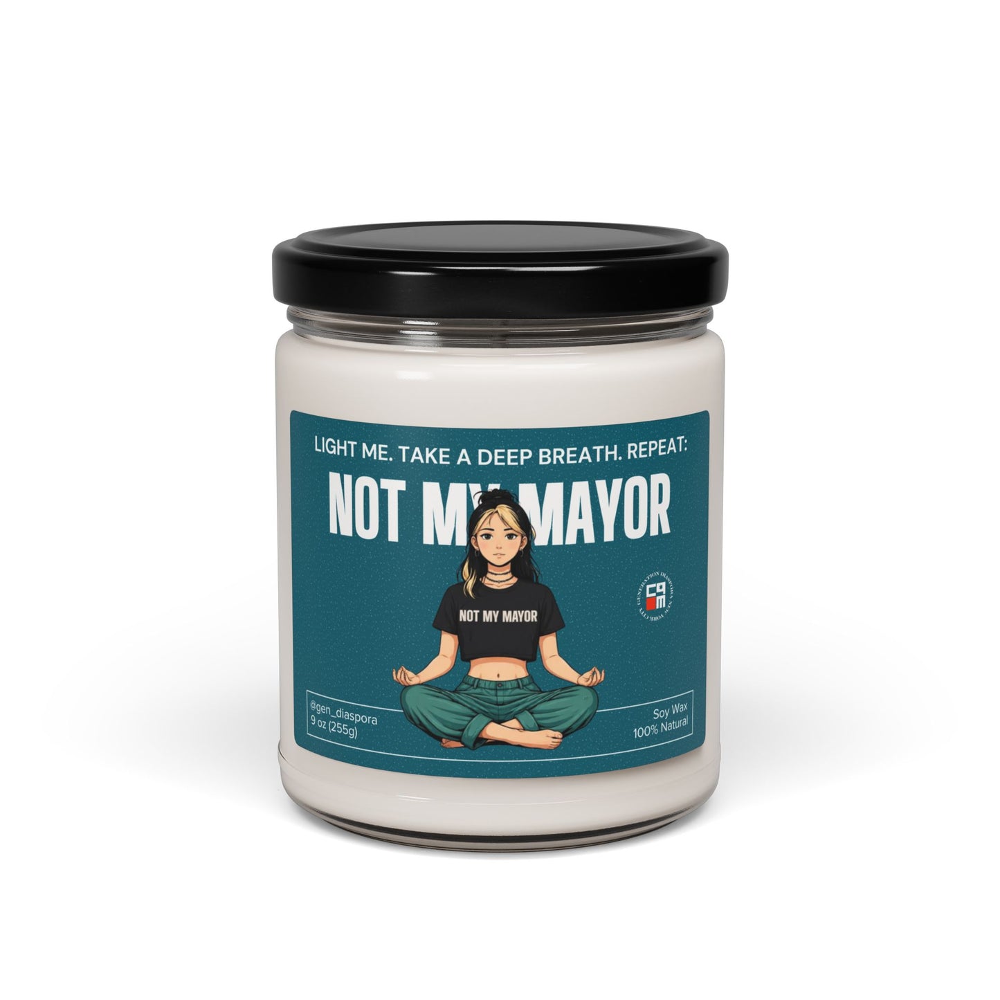 Not My Mayor Scented Soy Candle, 9oz