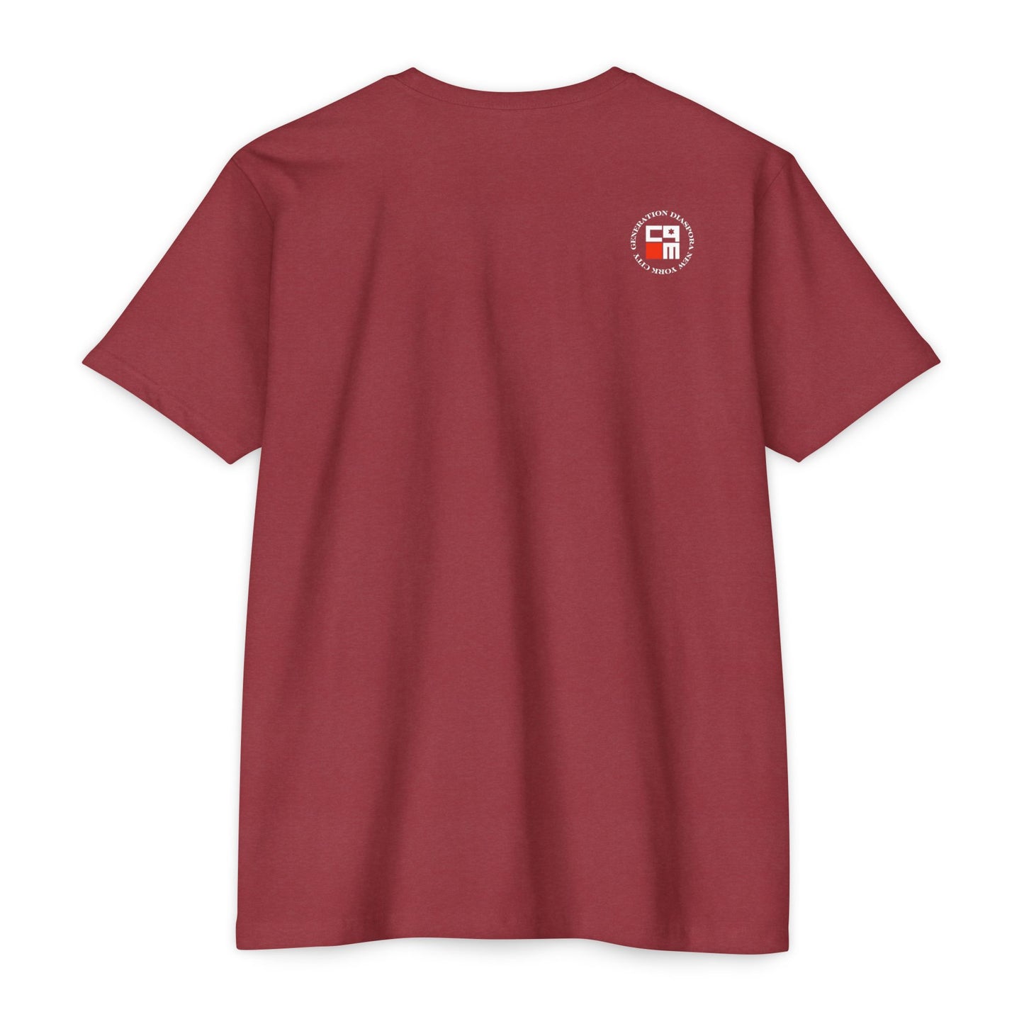 \ ˈzī-ə-nist \  CVC Jersey T-shirt