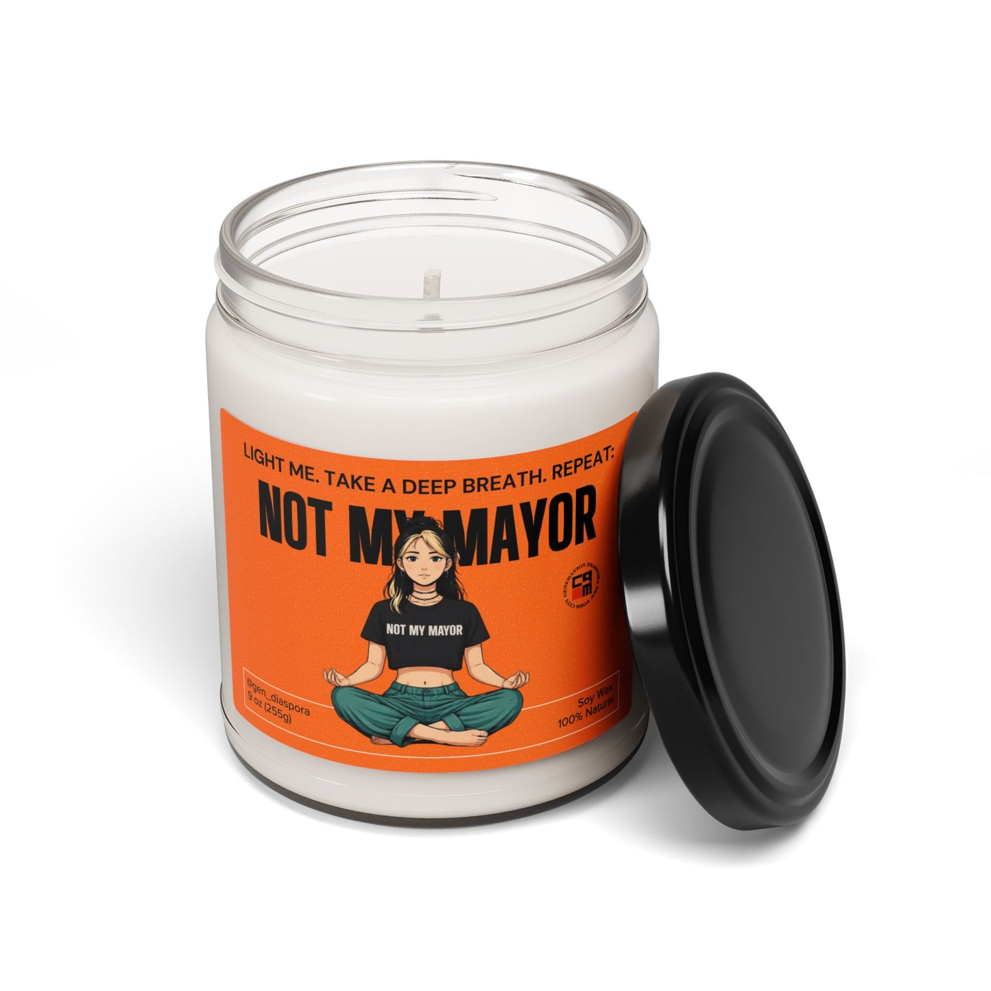 Not My Mayor Scented Soy Candle, 9oz