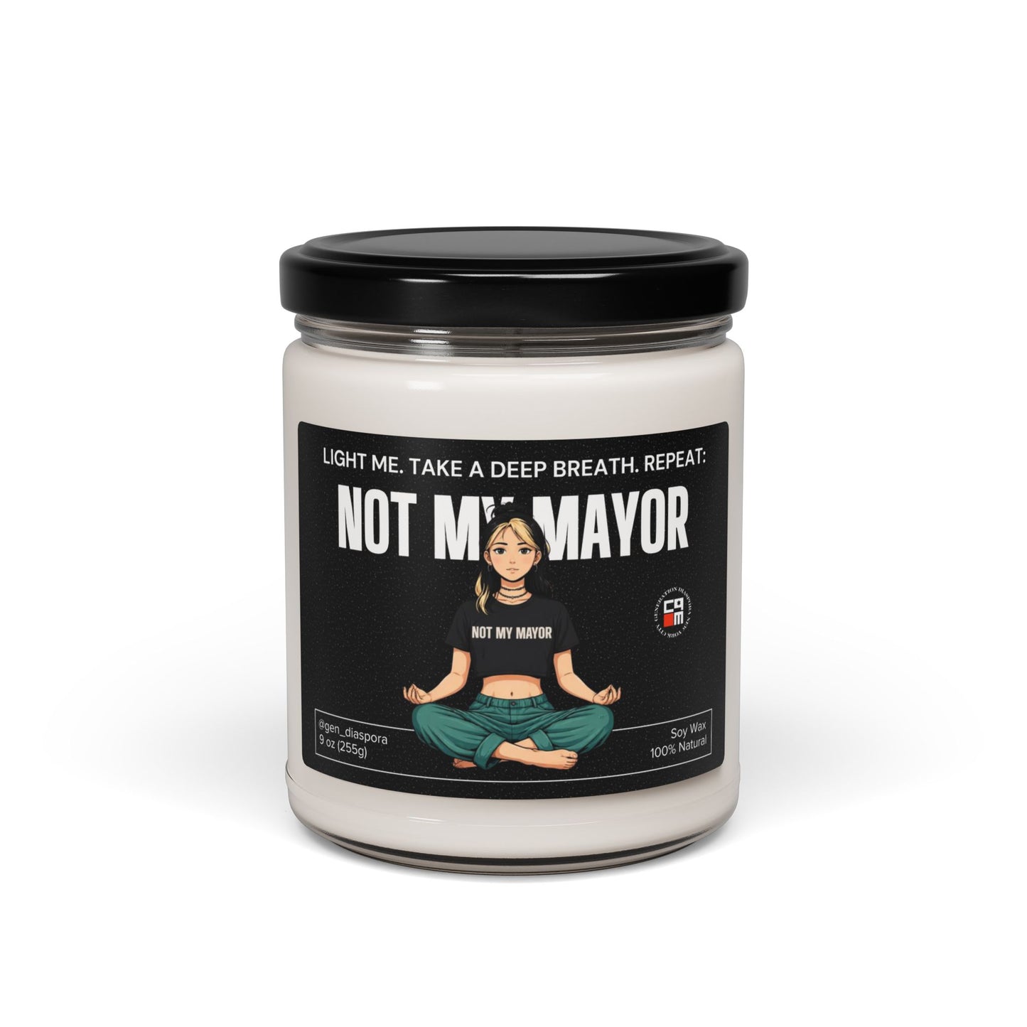 Not My Mayor Scented Soy Candle, 9oz