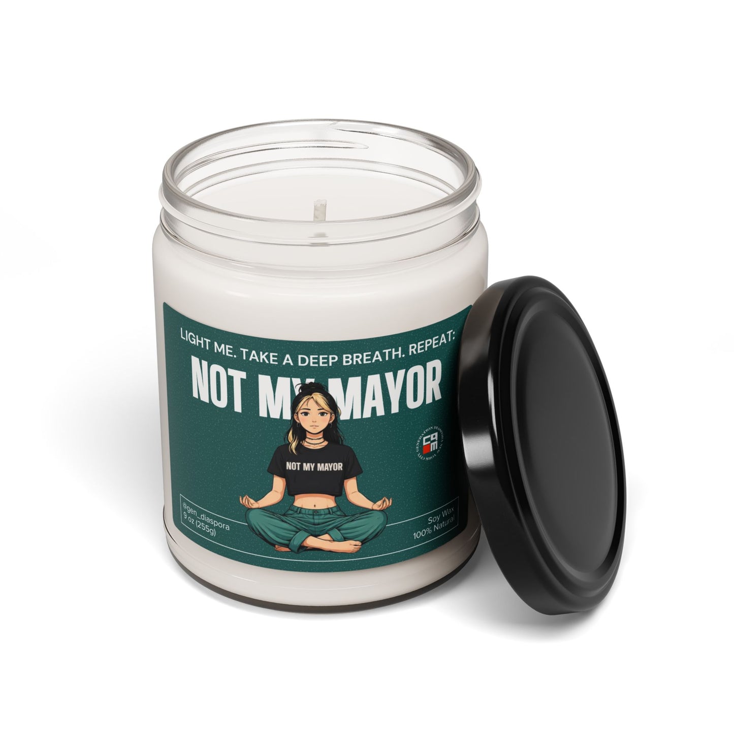 Not My Mayor Scented Soy Candle, 9oz