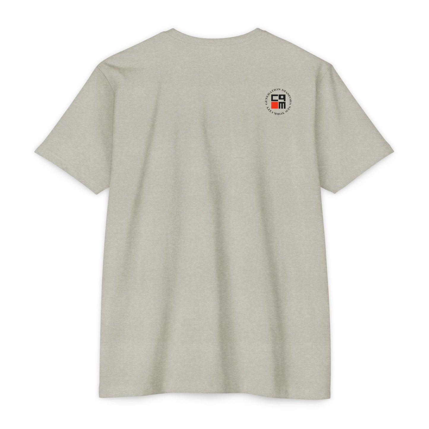 \ ˈzī-ə-nist \  CVC Jersey T-shirt