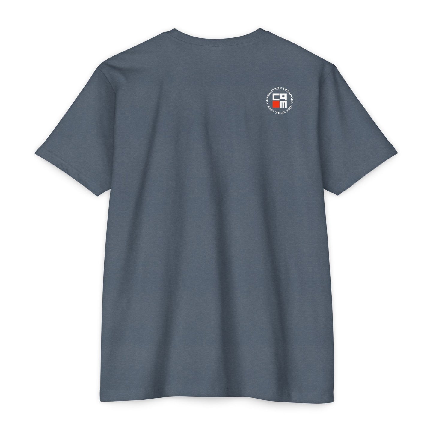 \ ˈzī-ə-nist \  CVC Jersey T-shirt