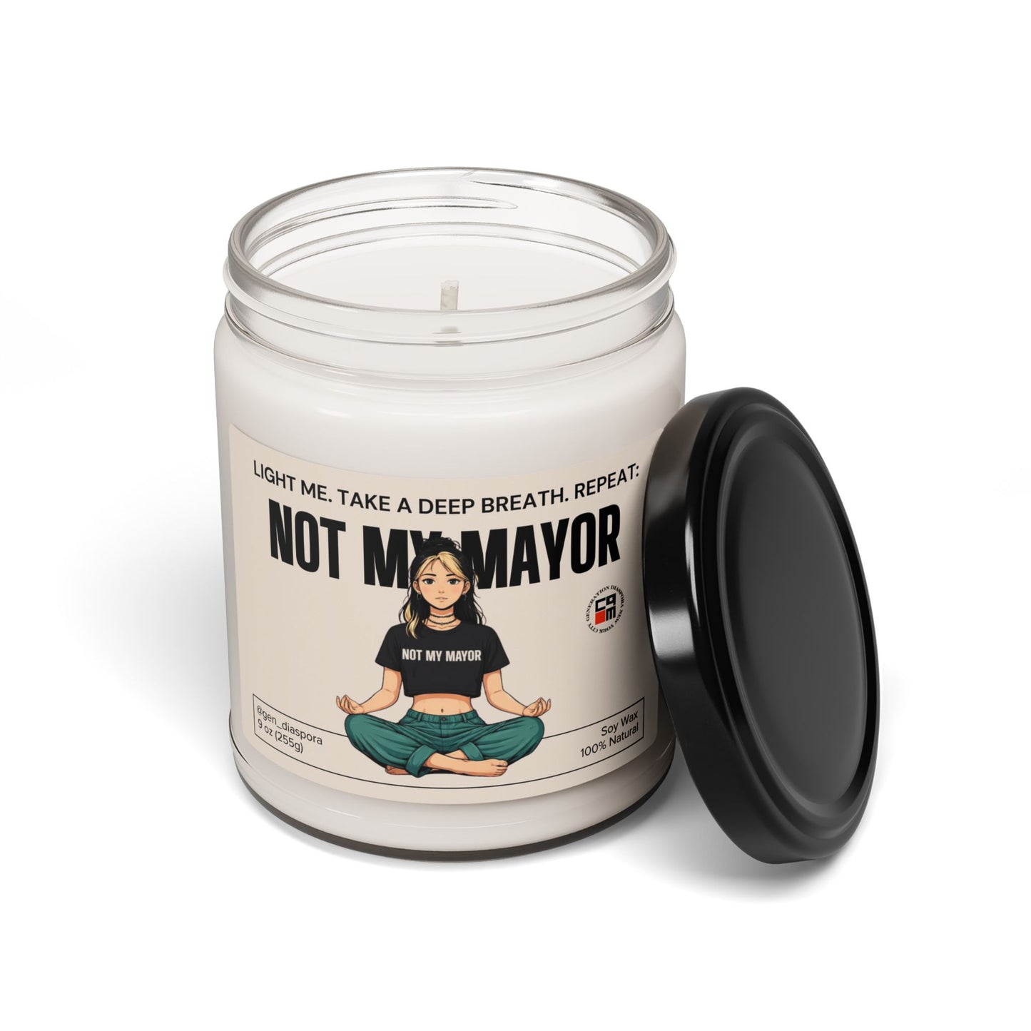 Not My Mayor Scented Soy Candle, 9oz