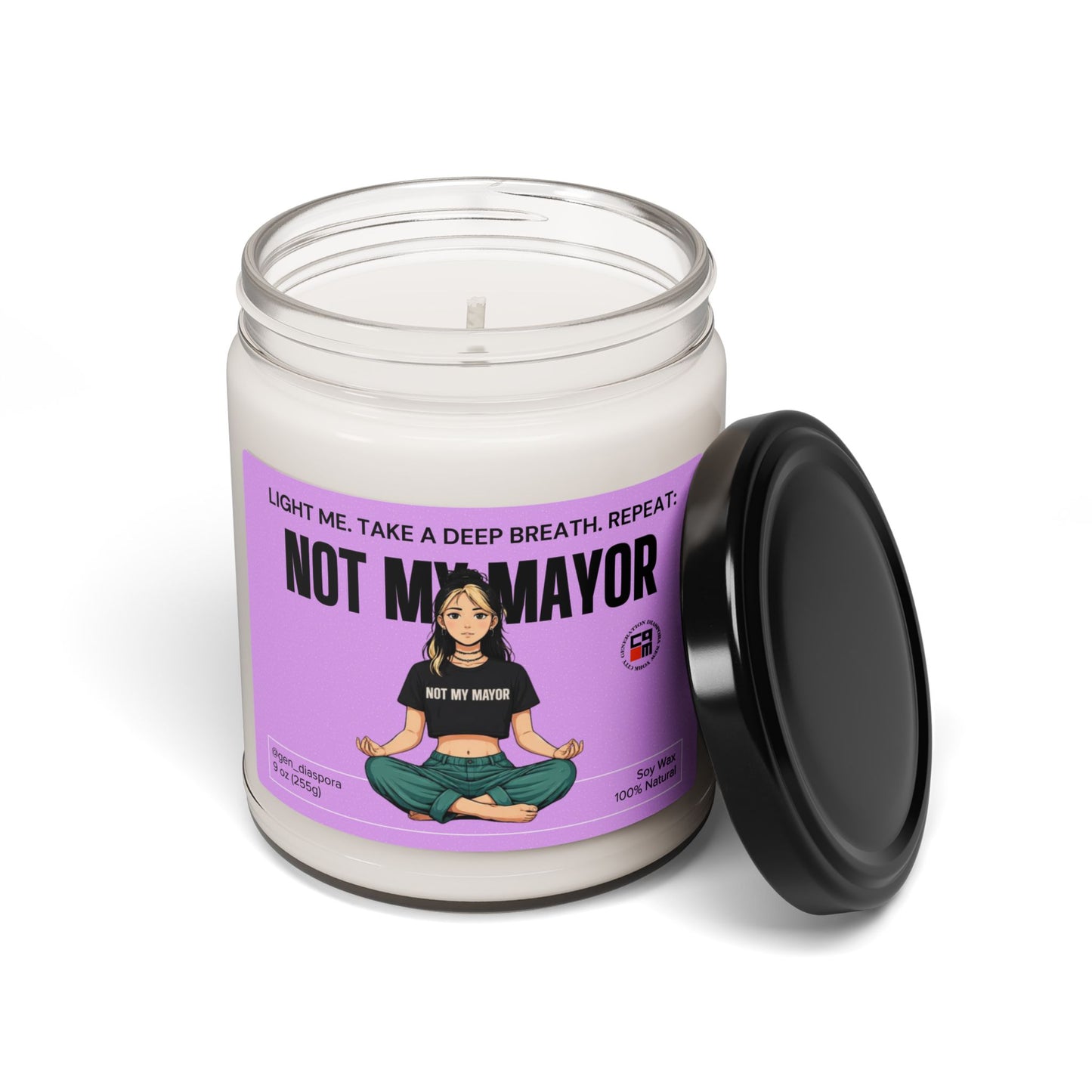 Not My Mayor Scented Soy Candle, 9oz