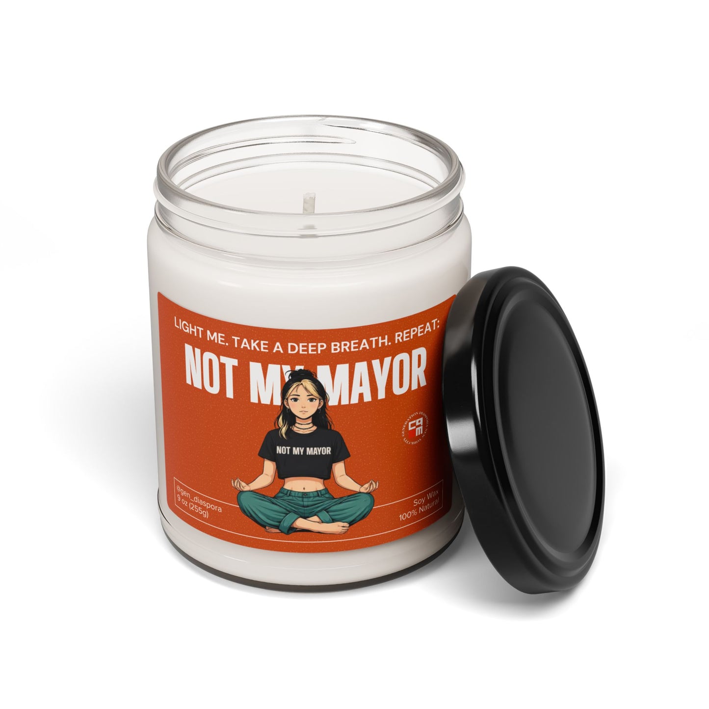 Not My Mayor Scented Soy Candle, 9oz