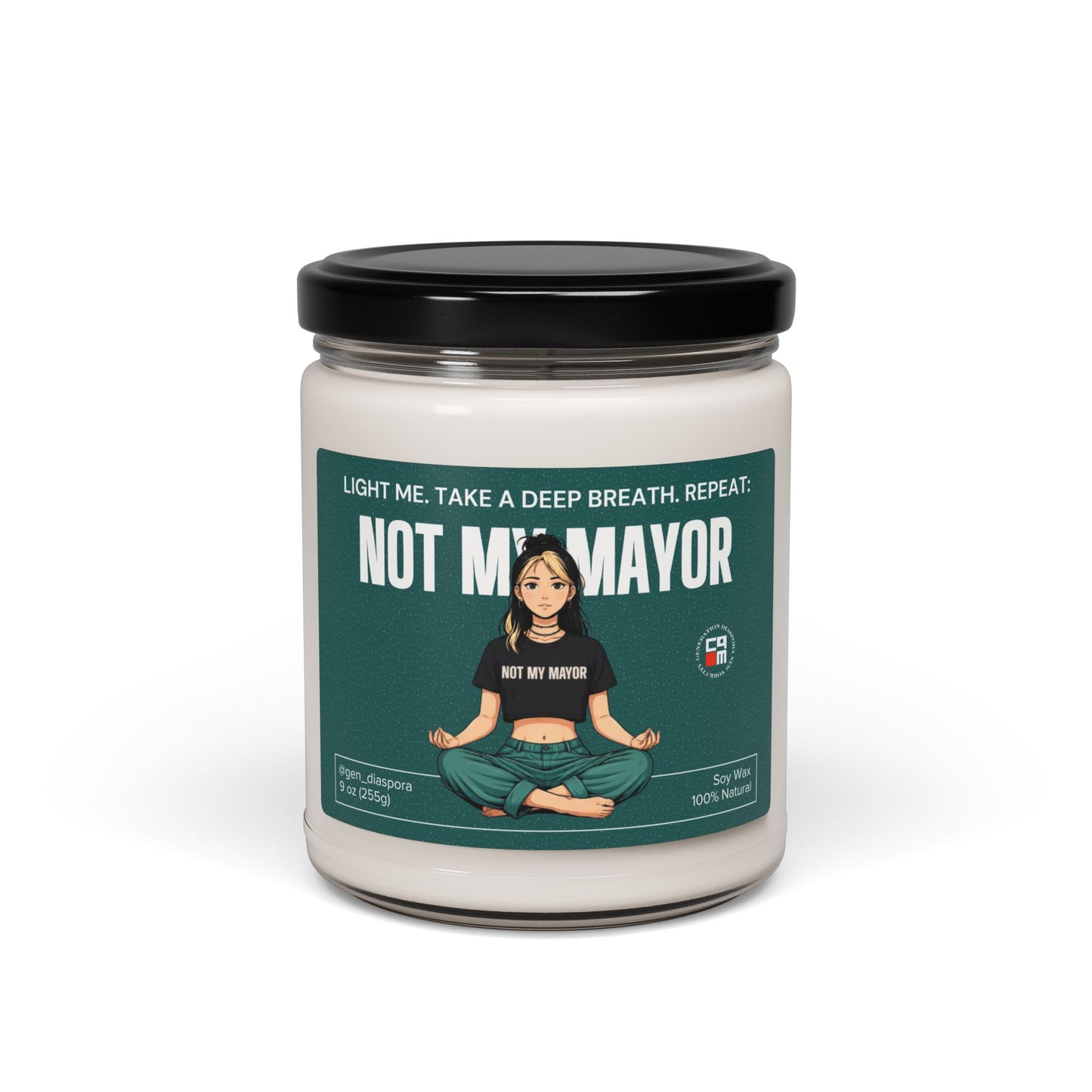 Not My Mayor Scented Soy Candle, 9oz